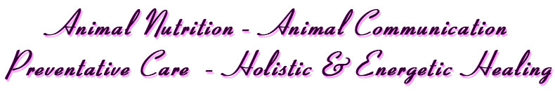 Animal Nutrition  Animal Communication Preventative Care Holistic & Energetic Healing